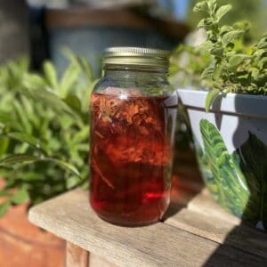 Iced Tea Collection